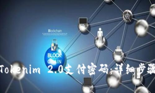 如何安全地找回Tokenim 2.0支付密码：详细步骤与常见问题解答