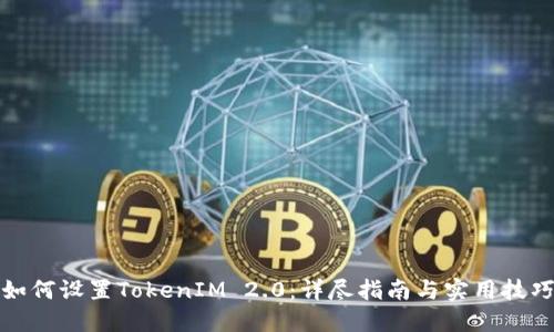 如何设置TokenIM 2.0：详尽指南与实用技巧
