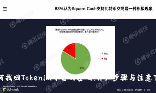 如何找回Tokenim平台的密码：详细步骤与注意事项