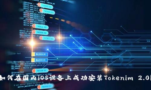 如何在国内iOS设备上成功安装Tokenim 2.0？