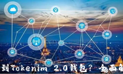 
USDT能否转账到Tokenim 2.0钱包? 全面解析与操作指南