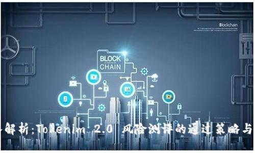 深入解析：Tokenim 2.0 风险测评的通过策略与技巧