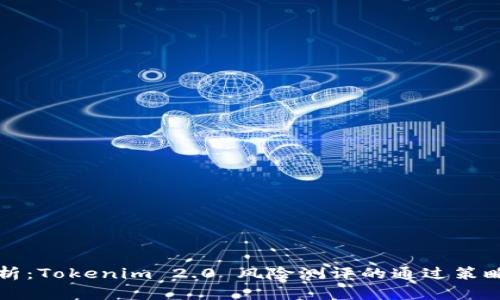 深入解析：Tokenim 2.0 风险测评的通过策略与技巧