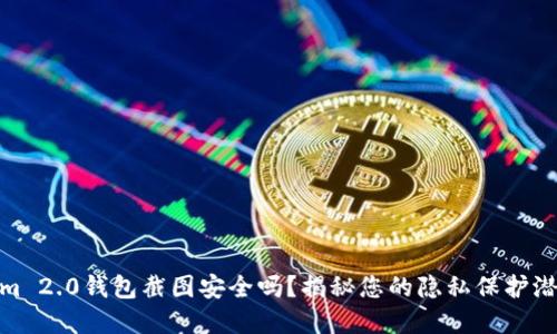 Tokenim 2.0钱包截图安全吗？揭秘您的隐私保护潜在风险