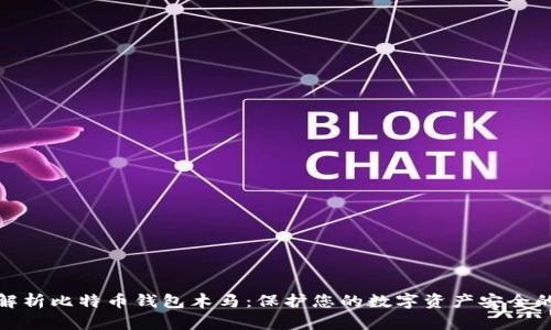 深入解析比特币钱包木马：保护您的数字资产安全的关键