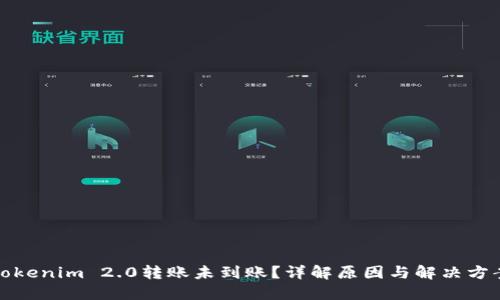 Tokenim 2.0转账未到账？详解原因与解决方案