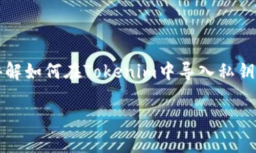 导入私钥到Tokenim是一个重要的过程，尤其是对于希望管理其加密资产的用户而言。下面将详细讲解如何在Tokenim中导入私钥，包括必要的步骤和注意事项。如果有其他问题或需要进一步的帮助，可以根据具体的需求进行探讨。

## 如何在Tokenim中导入私钥的详细教程