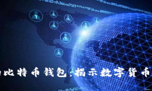 如何选择安全的比特币钱包：揭示数字货币保护的最佳实践