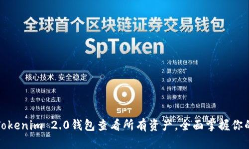 如何使用Tokenim 2.0钱包查看所有资产，全面掌握你的数字财富