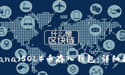 如何将Solana（SOL）币存入钱包：详细指南与步骤