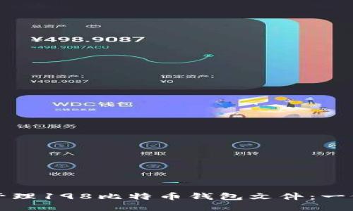 如何安全管理198比特币钱包文件：一份完整指南