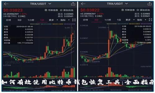 如何有效使用比特币钱包恢复工具：全面指南
