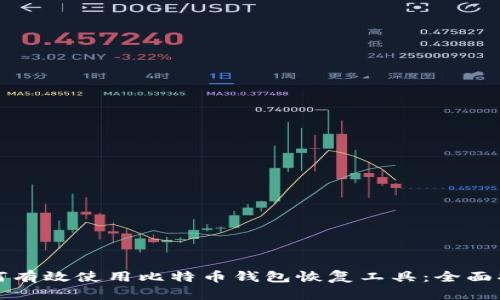如何有效使用比特币钱包恢复工具：全面指南