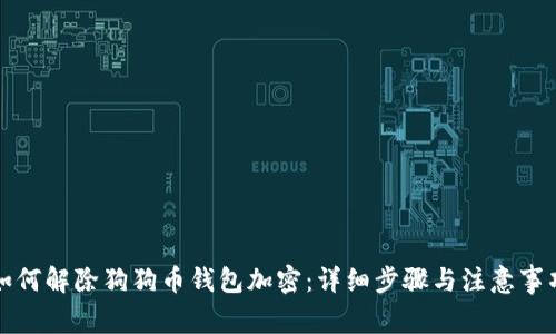 如何解除狗狗币钱包加密：详细步骤与注意事项