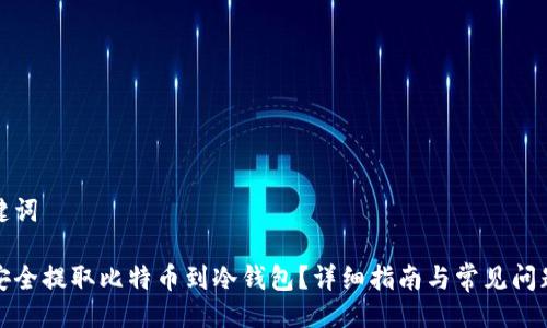 及关键词

如何安全提取比特币到冷钱包？详细指南与常见问题解答