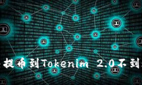 如何解决提币到Tokenim 2.0不到账的问题