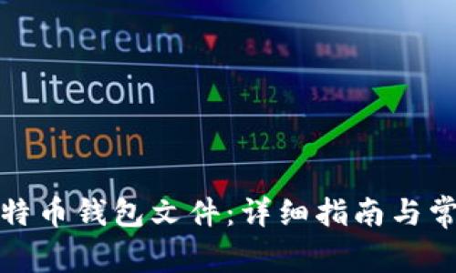 如何打开比特币钱包文件：详细指南与常见问题解答