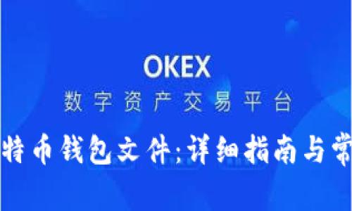 如何打开比特币钱包文件：详细指南与常见问题解答