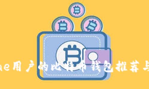 适合iPhone用户的比特币钱包推荐与使用指南