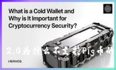 Tokenim 2.0为什么不支持Pi