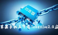 如何在苹果手机上下载Tokenim2.0应用程序