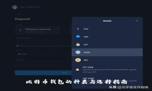 比特币钱包的种类与选择指南