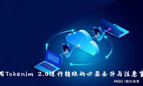 使用Tokenim 2.0进行转账的必要条件与注意事项