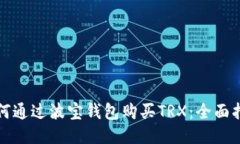 如何通过波宝钱包购买TRX：全面指南