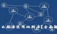 Tokenim 2.0：为什么无法使用比特币？全面解析与常