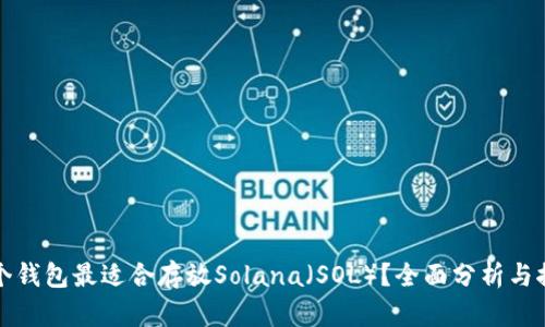 哪个钱包最适合存放Solana(SOL)?全面分析与推荐