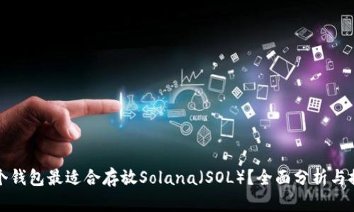 哪个钱包最适合存放Solana（SOL）？全面分析与推荐