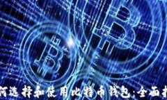如何选择和使用比特币钱包：全面指南