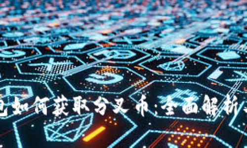 比特币钱包如何获取分叉币：全面解析与实用指南