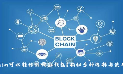 Tokenim可以转移到哪些钱包？揭秘多种选择与使用技巧