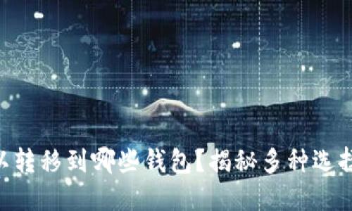 Tokenim可以转移到哪些钱包？揭秘多种选择与使用技巧