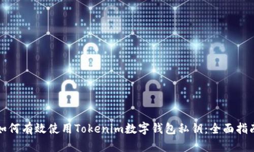 如何有效使用Tokenim数字钱包私钥：全面指南