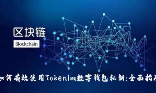 如何有效使用Tokenim数字钱包私钥：全面指南