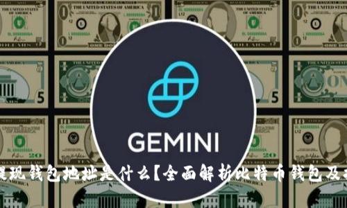 比特币提现钱包地址是什么？全面解析比特币钱包及提现流程