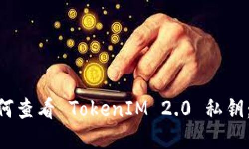 ibaoti如何查看 TokenIM 2.0 私钥：完整指南
