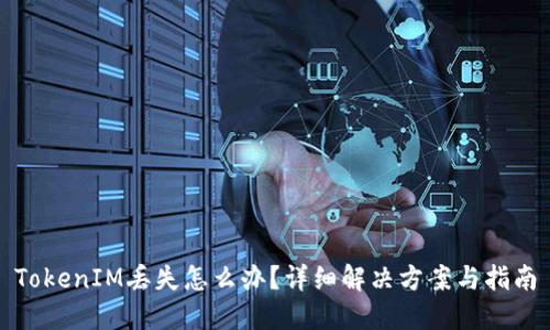 TokenIM丢失怎么办？详细解决方案与指南