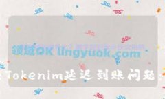 如何解决Tokenim延迟到账问