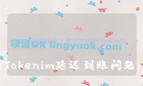 如何解决Tokenim延迟到账问题：全面指南