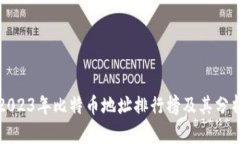 2023年比特币地址排行榜及