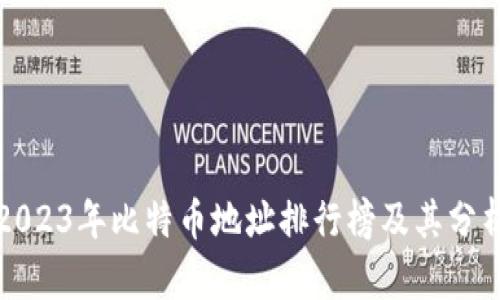2023年比特币地址排行榜及其分析